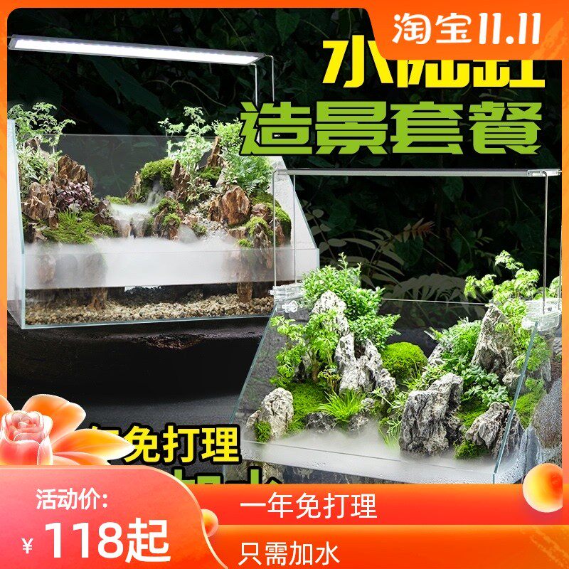 水陆缸植物草两栖超白造景乌龟材料雨林微景观生态鱼缸免换水套餐
