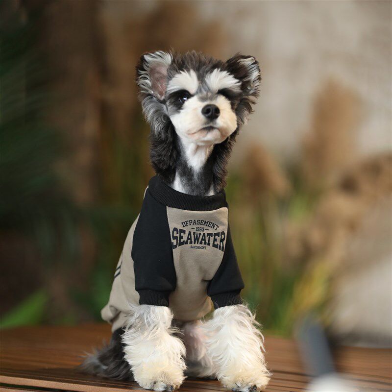 小狗衣服中小型犬泰迪博美雪纳瑞连帽春秋款卫衣宠物防掉毛狗衣服