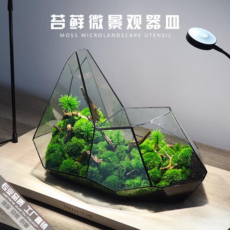 北欧风格几何玻璃花房微景观 生态瓶青苔绿植盆栽 DIY桌面造景摆