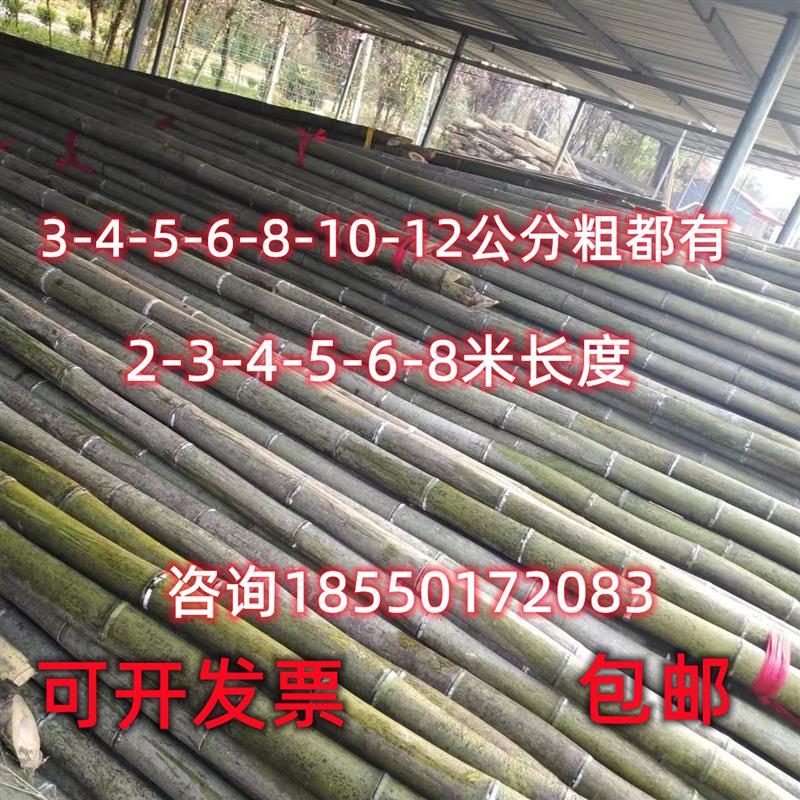 定制粗竹竿长竹竿5米6米打松塔竹子大竹子毛竹楠竹外墙搭架