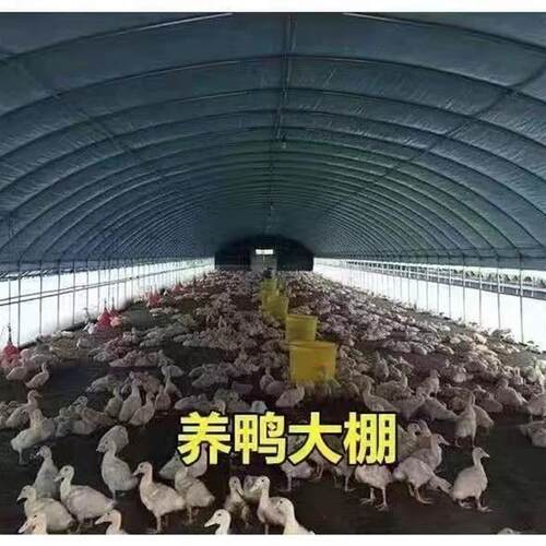 蔬菜椭圆保温大棚钢管全套养殖种植鸡鸭牛羊养鸡温室骨架半坡暖棚