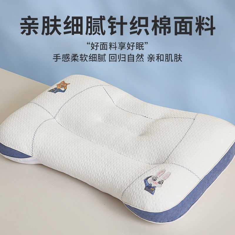 卡通儿童枕头6岁以上护颈椎助睡眠小学生专用分区枕芯整头一对装