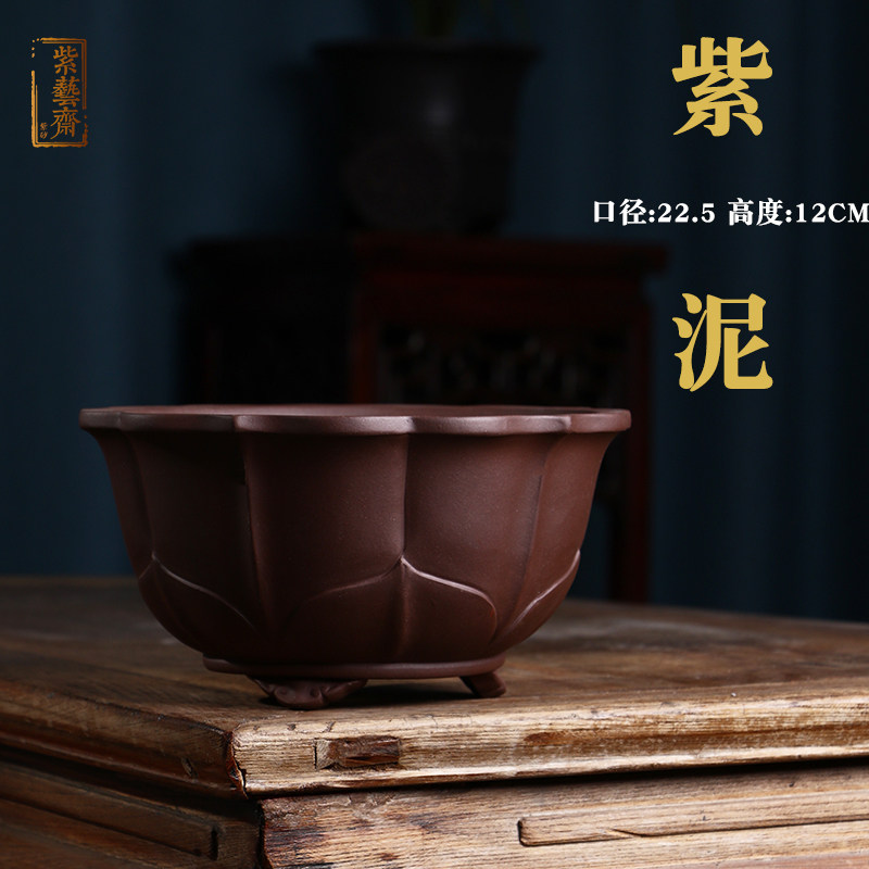 紫砂花盆大号盆景绿植盆栽园艺培育摆设展览松柏文竹多肉多瓣双色