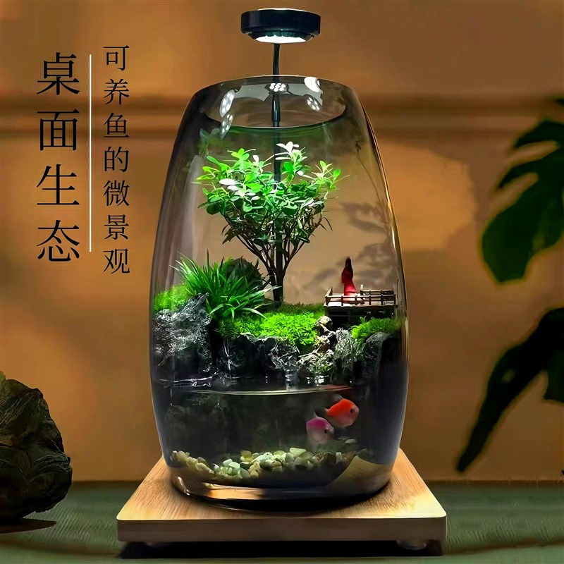 苔藓微景观生态瓶造景植物雨林创意小摆件桌面森林玻璃养鱼生态缸
