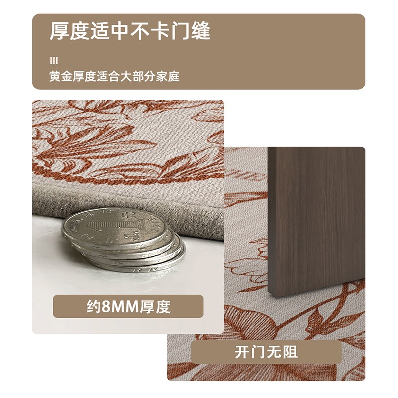 耐脏家用入户门垫室外吸尘脚踏垫可定制进门地毯垫大门口垫子门厅