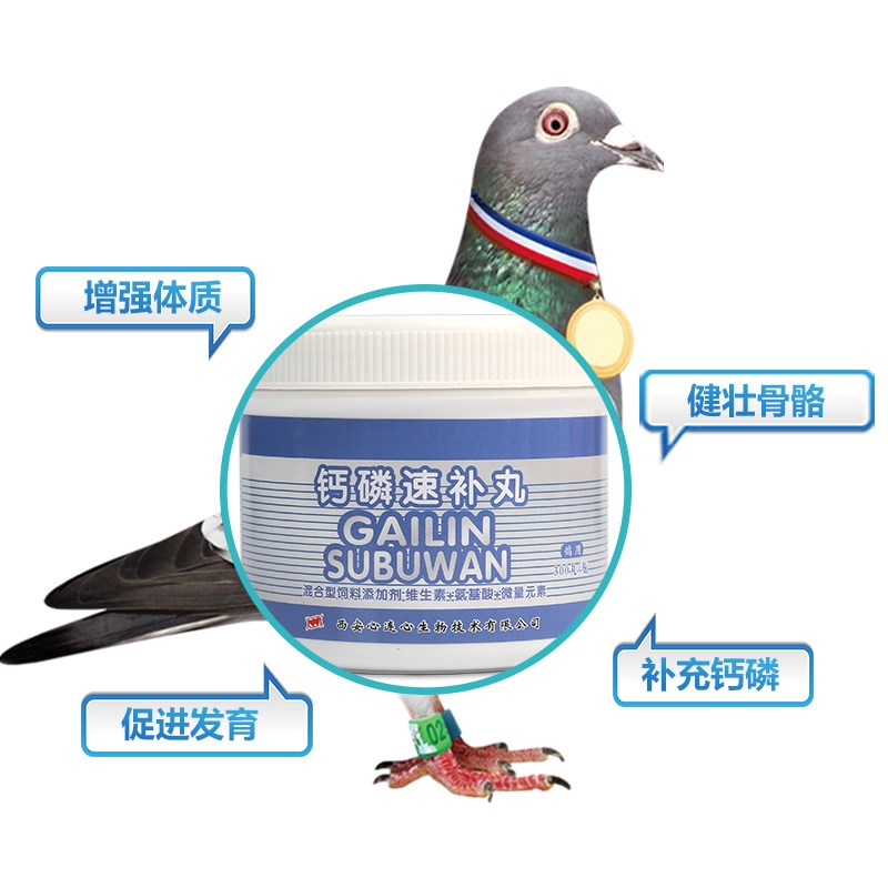 心连心鸽子大全信鸽用品赛鸽钙磷丸营养用品