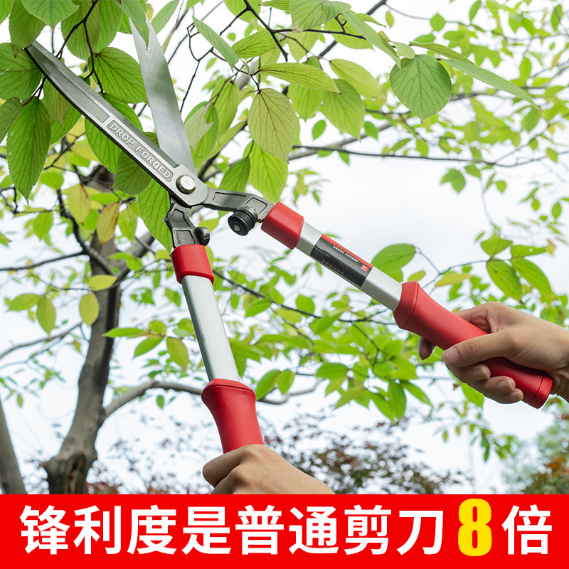 锻打修枝园艺剪刀绿篱剪草坪修剪修枝剪花草树枝剪粗枝园林大剪刀