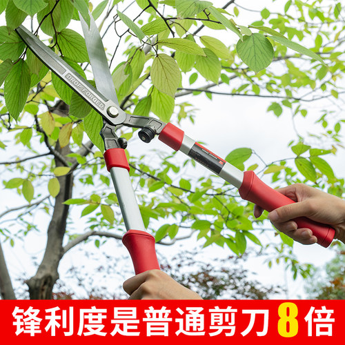 锻打修枝园艺剪刀绿篱剪草坪修剪修枝剪花草树枝剪粗枝园林大剪刀