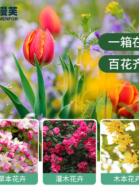 加厚塑料阳台种菜盆种花专用种植箱绣球牡丹蝴蝶兰君子兰特大花盆