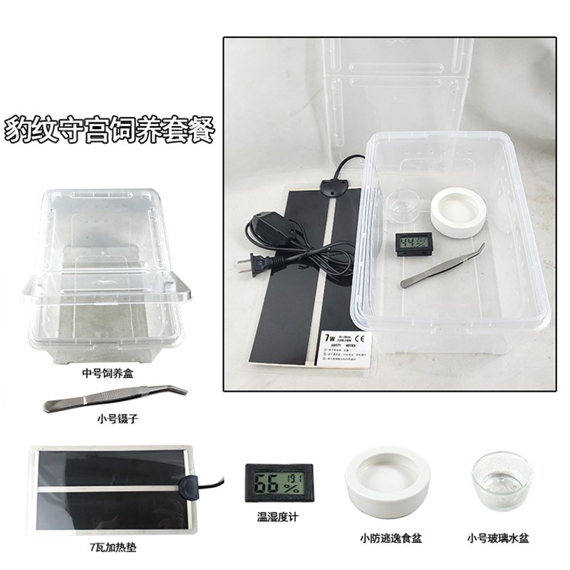 爬虫饲养盒宠物饲养盒角蛙蜘蛛守宫蜗牛蛇防越狱方便用加热垫盒子