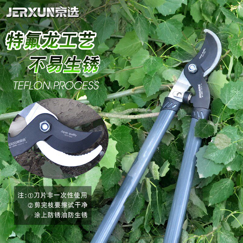 京选省力粗枝剪高枝剪树枝剪刀园艺剪刀弯头大力剪园林工具大剪刀