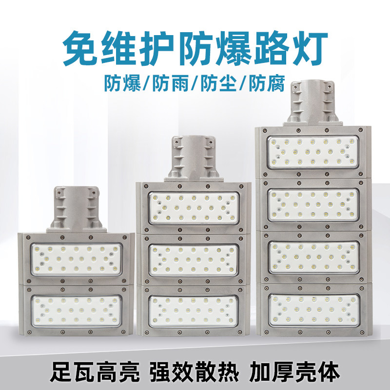 LED防爆路灯6米加气加油站化工厂户外高杆防水超亮路灯头100W200W