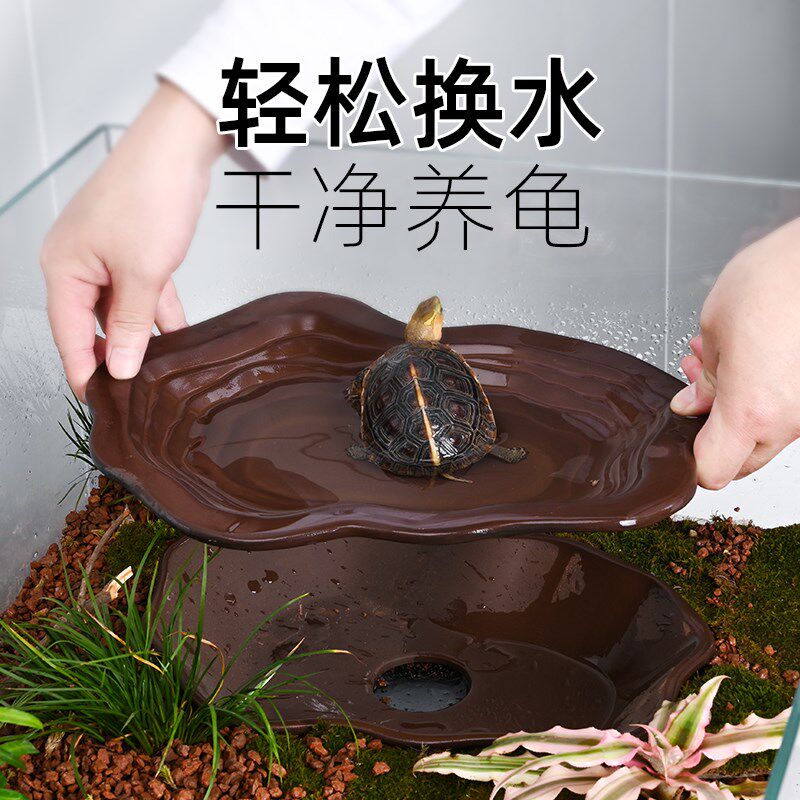 乌龟专用泡澡盆紫砂陶瓷分离式防滑黄缘半水龟饮水盘分体式洗澡盆