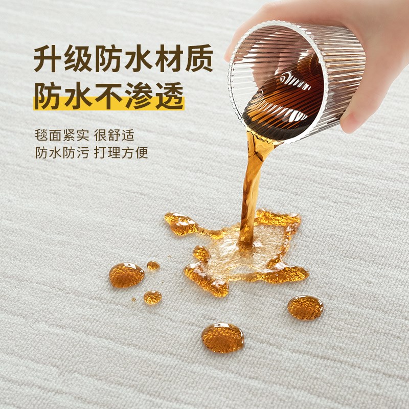 地毯客厅2024新款防水防污免洗可擦免打理极简素色卧室床边地垫