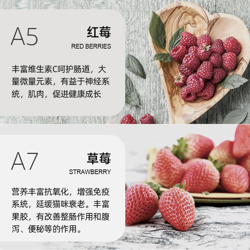 汤恩贝猫粮A系列A1A3A5A7无谷冻干生骨肉TEB猫粮成猫幼猫全期通用