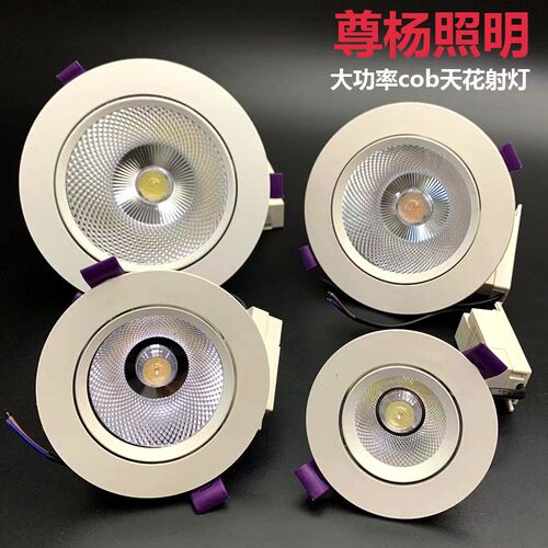 大功率cob射灯工程款嵌入式天花灯家用孔灯桶灯牛眼灯洞灯led筒灯
