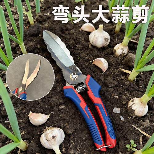新款弯头大蒜剪省力设计轻松剪蒜农田蒜地高效剪蒜工具农用蒜剪子