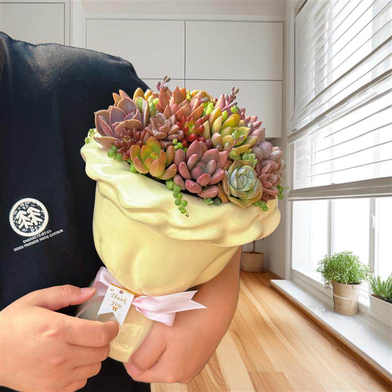 多肉植物花束手捧花组合拼盘带盆带土栽好成品 节日创意礼物礼盒