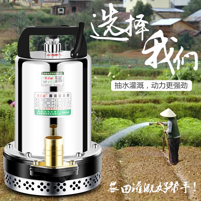 12V24V电瓶抽水机直流潜水泵48V60V电动车抽水泵72V高扬程大流量