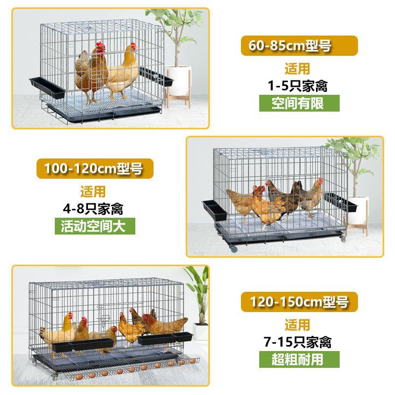 鸡笼子养殖笼家用大号超大号养鸡笼子鸡舍自动下蛋鸡笼网鸭鹅鸡笼