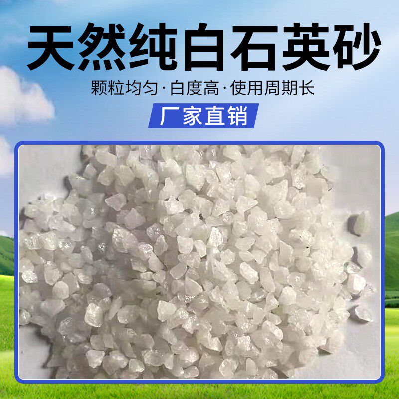 50斤纯白石英砂白色细沙子鱼缸底砂酒店垃圾桶烟灰缸造景装饰白沙