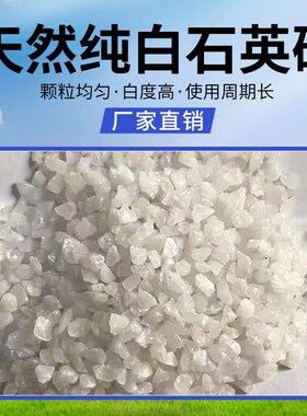 50斤纯白石英砂白色细沙子鱼缸底砂酒店垃圾桶烟灰缸造景装饰白沙