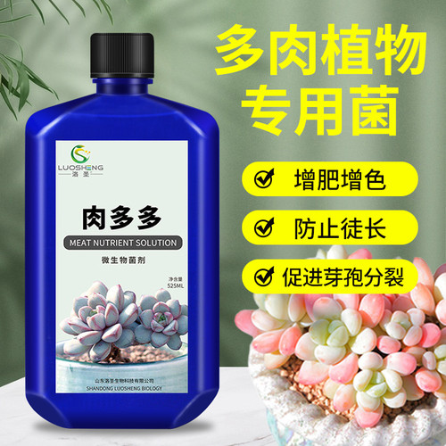 多肉营养液生根壮苗上通用型盆栽色增肥徒长专用爆芽种植料多头