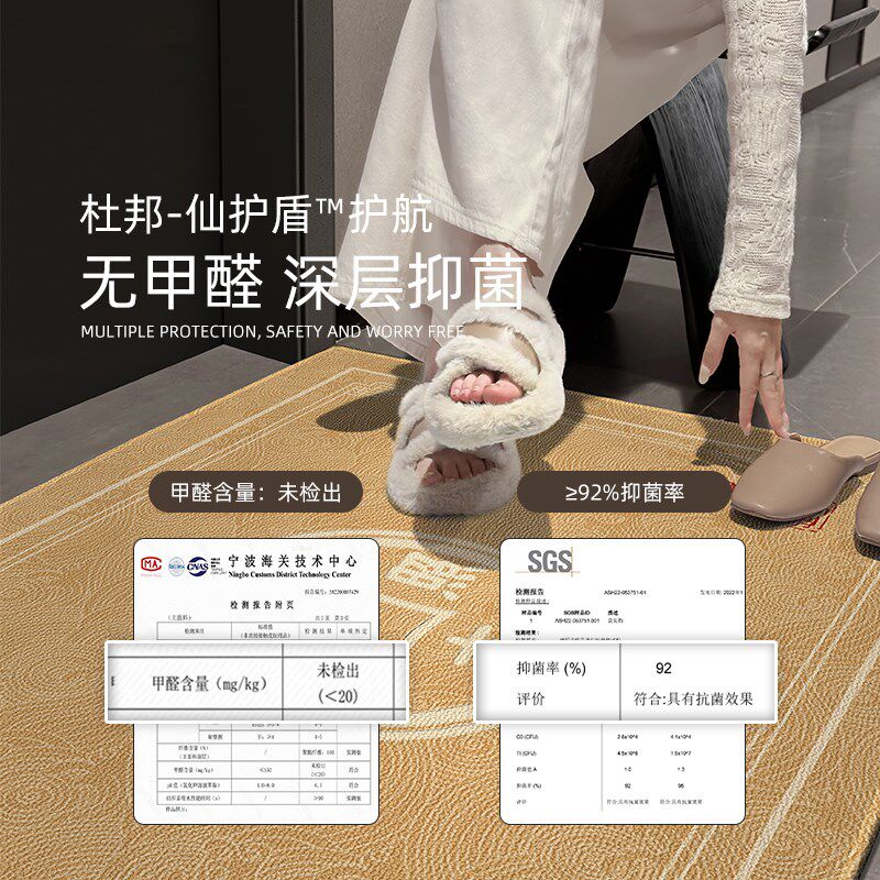 入户门地垫新款门垫门口地毯高级中式脚垫入门防滑免洗可裁剪耐脏