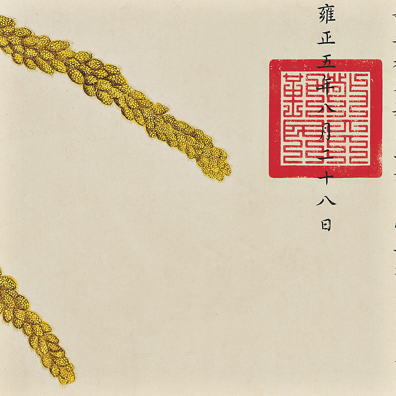 上品印画 郎世宁瑞谷图 餐桌客厅饭厅花卉牀头挂画装饰画墙壁画
