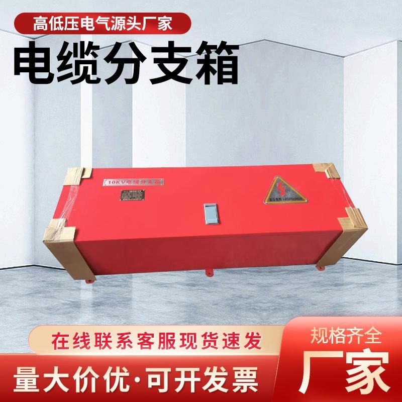 10/20/35KV挂式欧式高压电缆分支箱一进二三五出隧道不锈钢分接箱