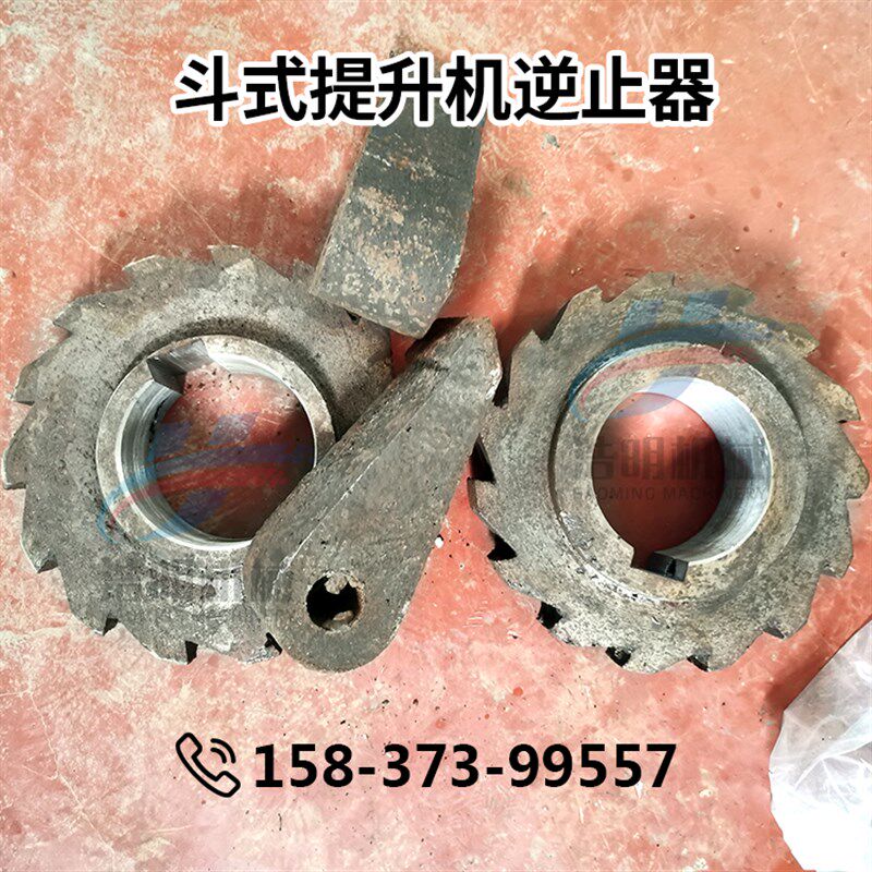NE板链斗式提升机逆止器棘轮棘爪防倒转装置防逆转齿链轮保护装置