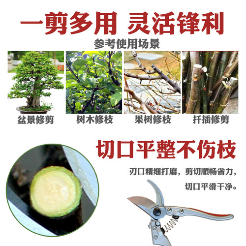 果树修枝剪葡萄剪枝树枝花卉枝剪子剪枝园林工具花剪修剪园艺剪刀