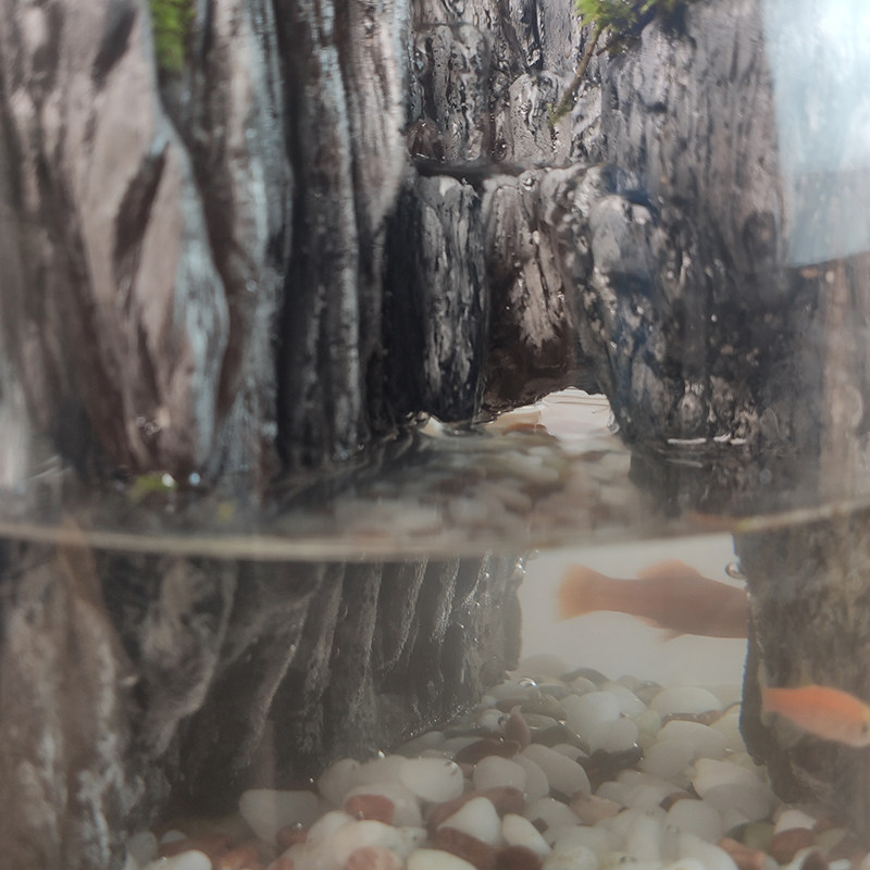 流水桌面生态瓶微景观鱼缸造景全套水陆缸成品盆景真植物小型造景