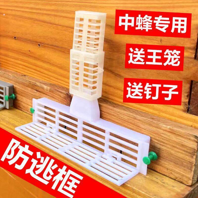 中蜂用多功能防跑片防逃框蜜蜂箱巢门塑料隔王板蜂王防盗器养蜂工