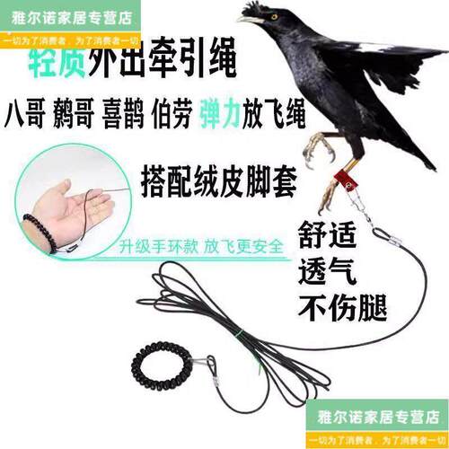 鸟用轻便放飞绳八哥鹩哥白颈乌鸦伯劳外出牵引遛鸟绳不伤脚绒皮脚