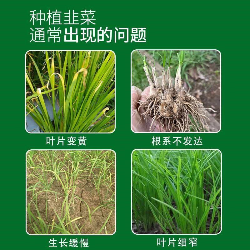 韭菜专用肥料韭菜专用肥料韭菜粗又壮韭菜专用肥料增根壮苗叶面肥