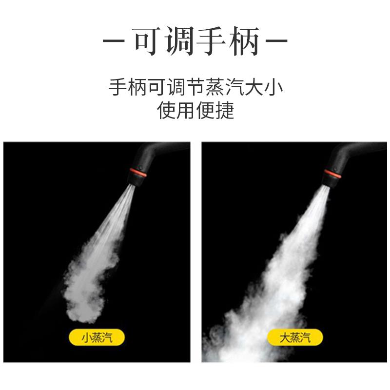 家用高温蒸汽清洁机消毒机熏蒸机甲醛治理蒸汽机定电动贴车衣110V