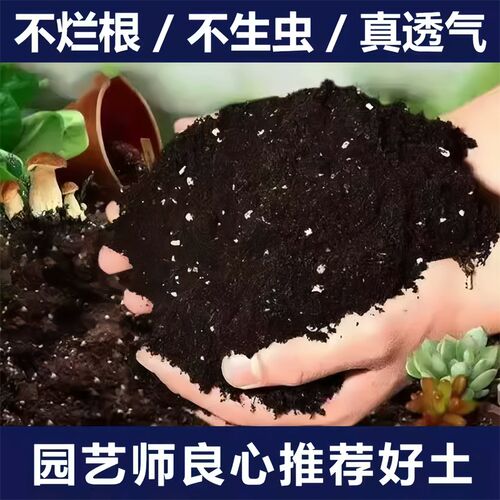 营养土家用养花种菜专用土多肉盆栽通用型种植土园艺土壤花土肥料