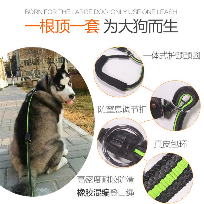 多功能防爆冲训练狗绳p绳p链金毛拉布拉多遛狗绳大型犬训犬牵引绳