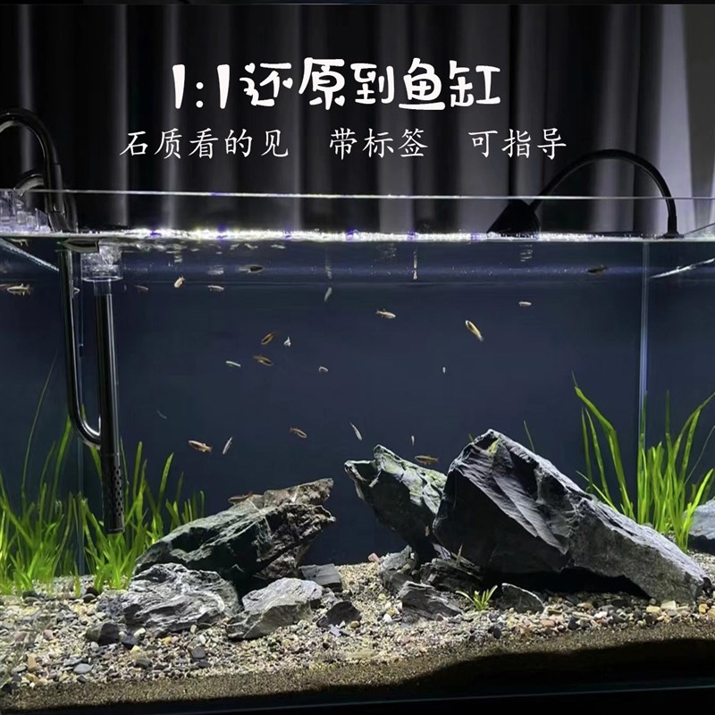 定制溪流缸造景原生缸造景一整套原生态鱼缸造景三湖慈鲷缸各类缸