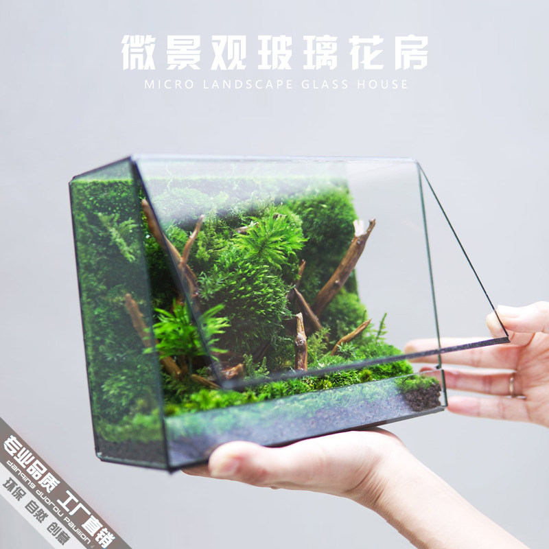 几何玻璃生态花房苔藓墙微景观造景瓶北欧风格桌面花盆