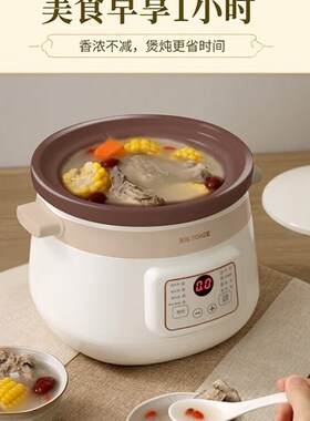 天际炖汤锅炖肉锅电炖沙锅电汤锅顿紫砂电炖锅砂锅煲汤家用插电2L