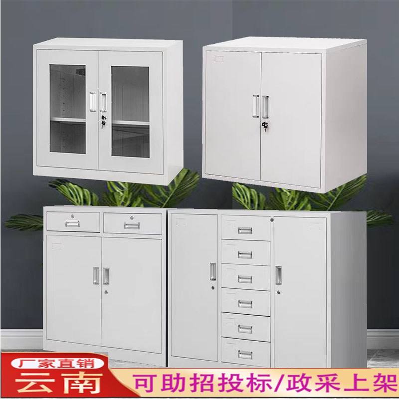 钢制文件柜单节办公室档案收纳柜矮柜子带锁家用铁皮柜工具收纳柜