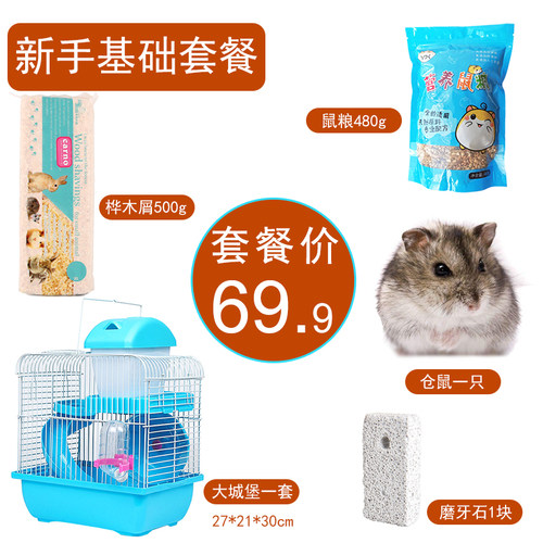 小仓鼠活物送笼子套装活体金丝熊巨型仓鼠好养的奶茶布丁儿童礼物