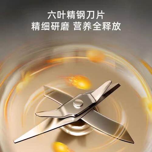 豆浆机家用全自动多功能小型迷你一体机破壁料理机DJJ-BL-01