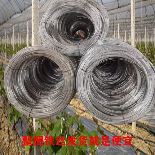 防锈镀锌铁丝家用铁线丝手工DIY扎丝8号白色葡萄架晾衣绳细铁丝线