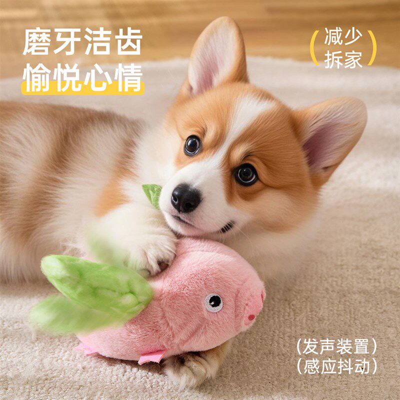 狗狗发声玩具小型犬柯基泰迪磨牙洁齿电动猪玩偶宠物自嗨解闷神器