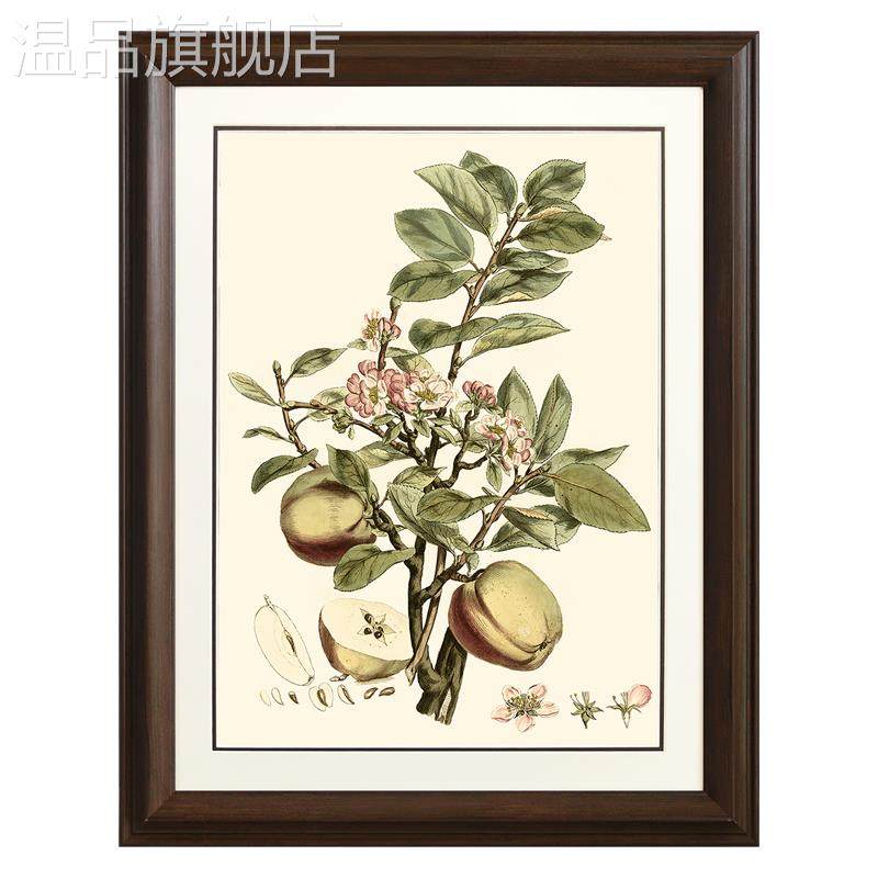新款美式乡村田园客厅沙发背景墙装饰画餐厅玄关卧室壁画植物果实