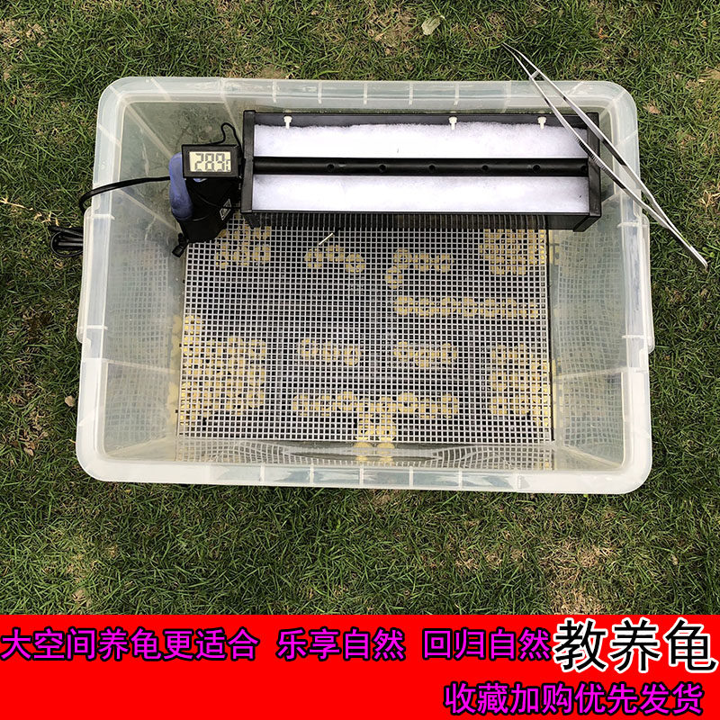 超白透明鱼缸客厅乌龟缸大小型水族箱鳄龟塑料饲养箱免换水生态缸