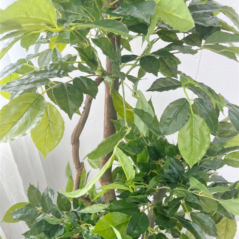 仿真植物1米6三杆幸福树发财树落地盆栽盆景观赏小叶树橱窗客厅